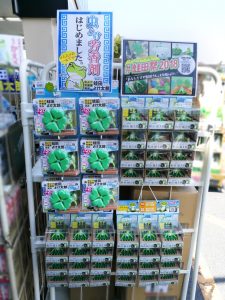 【蛙田ディスプレイコンテスト】ドン・キホーテ 和泉店 様