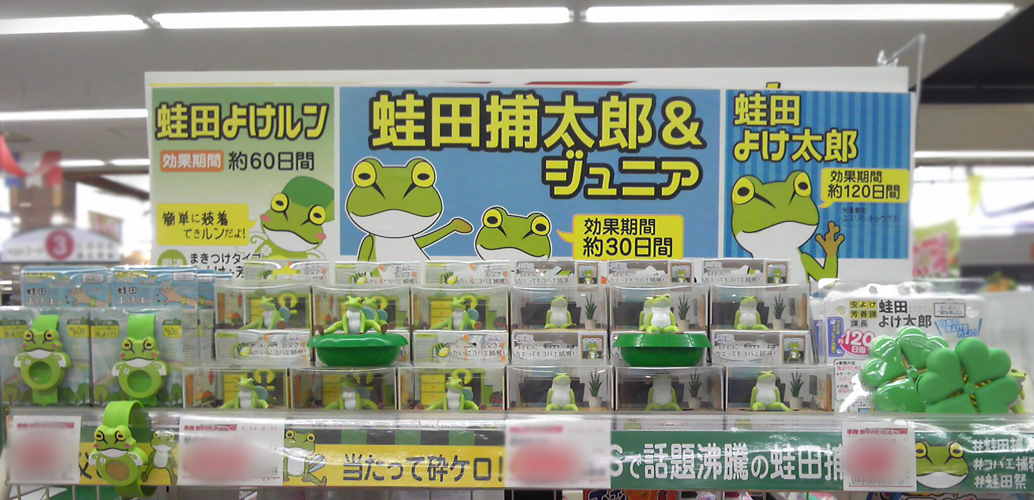 【蛙田ディスプレイコンテスト】ウェスタまるき 山口大内店 様