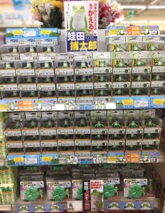 【蛙田ディスプレイコンテスト】SUNMAX 伊那店 様