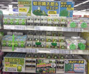 【蛙田ディスプレイコンテスト】ミスターマックス 春日店 様