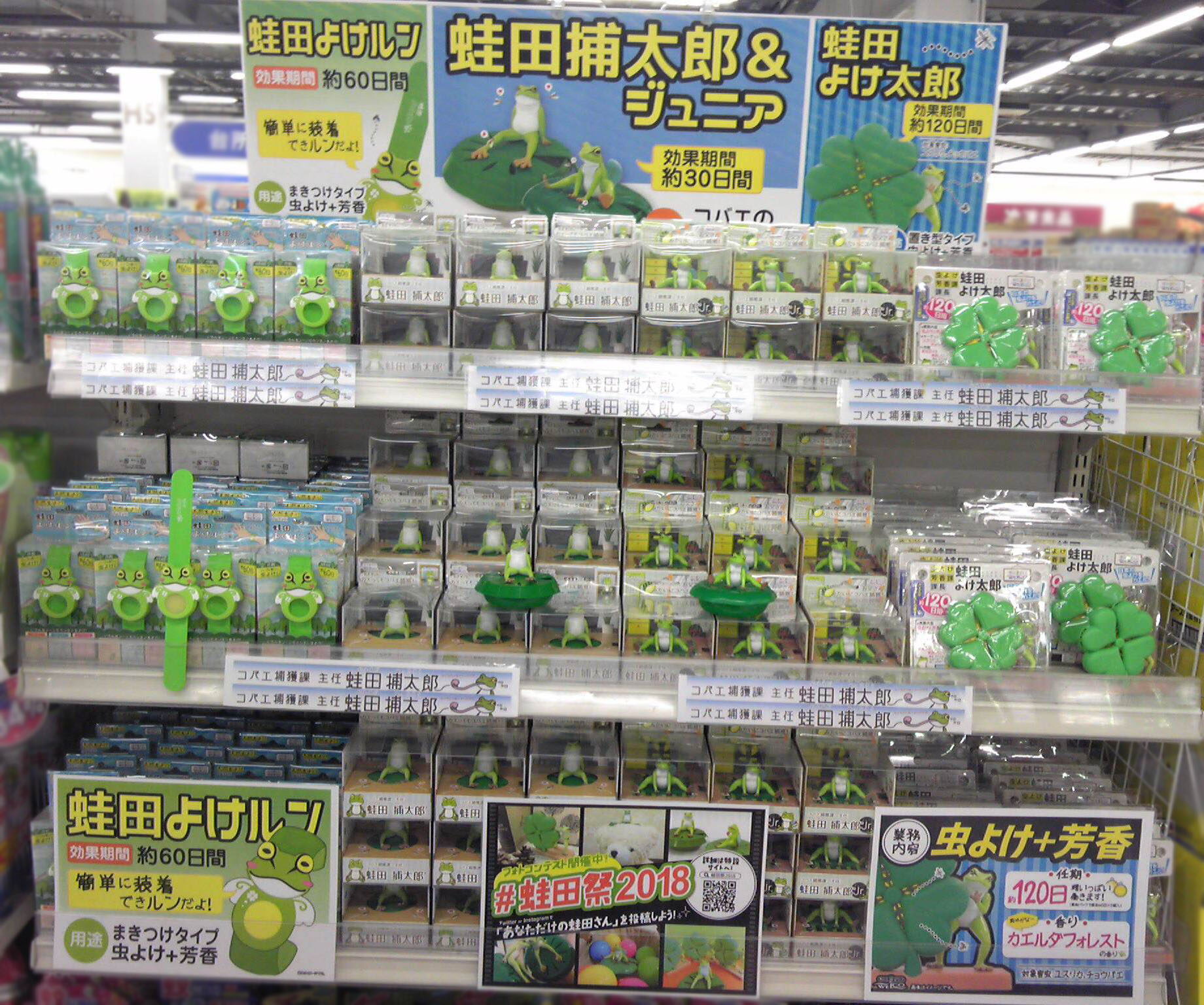 【蛙田ディスプレイコンテスト】ミスターマックス 春日店 様