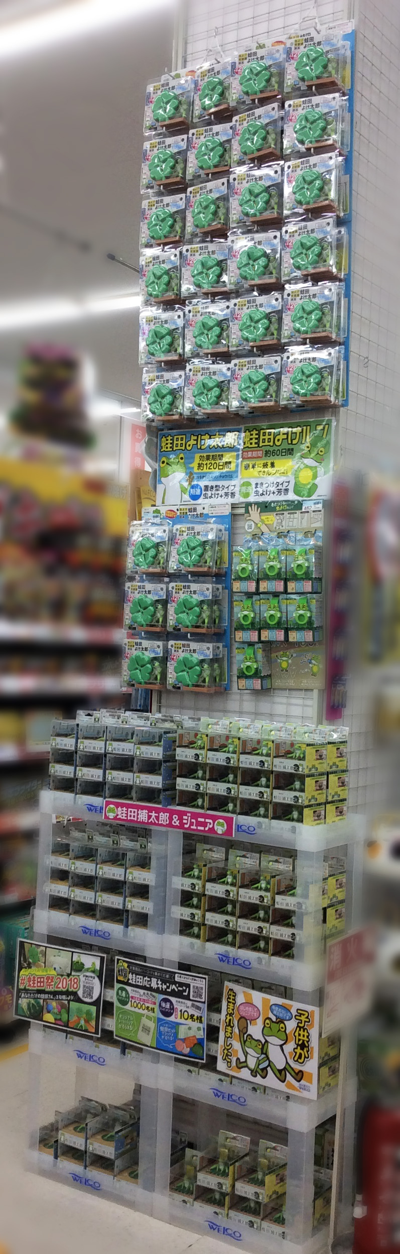 【蛙田ディスプレイコンテスト】ホームプラザナフコ 春日フォレストシティ店 様