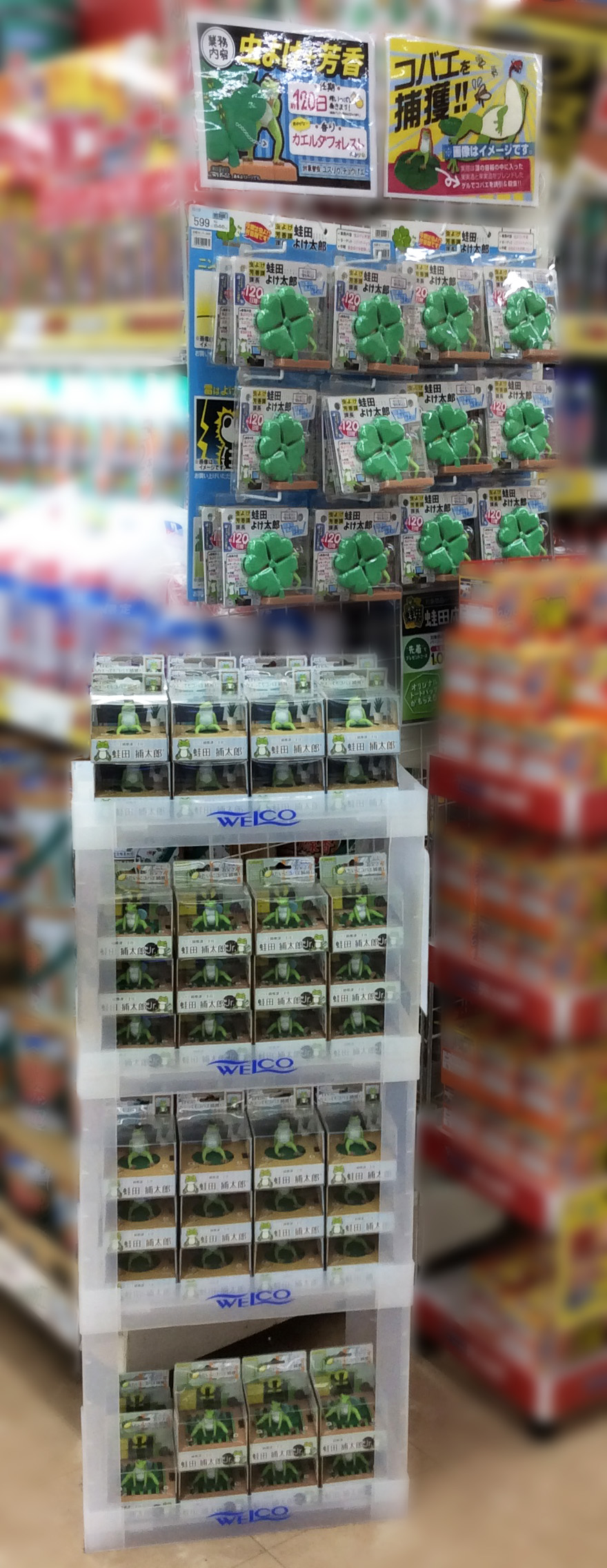 【蛙田ディスプレイコンテスト】ホームプラザナフコ 春日店 様