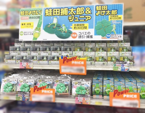 【蛙田ディスプレイコンテスト】ミスターマックス 湘南藤沢店 様